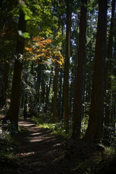 4-1武田－表丹沢鍋割山登山道