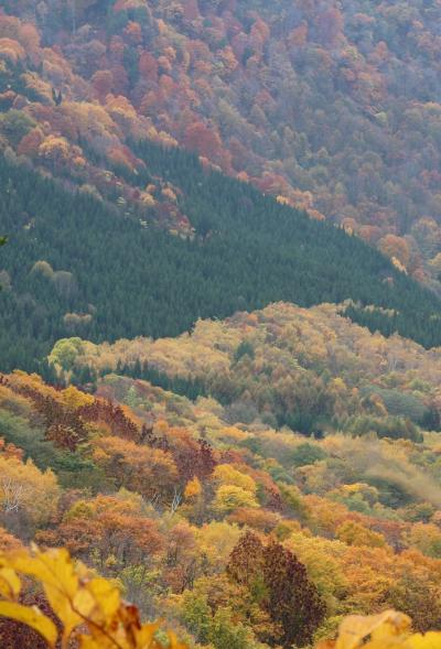 4福塚▲ 秋山郷の秋-A