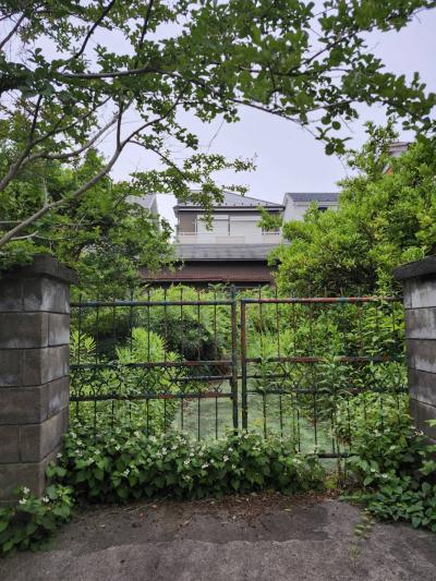 11-佐藤-雑草の門番