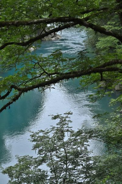 7s-_DSC1963_2→撮影者→池上→タイトル→何処までも青く
