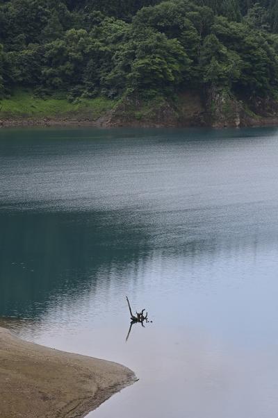 9-渋谷-s-1清流