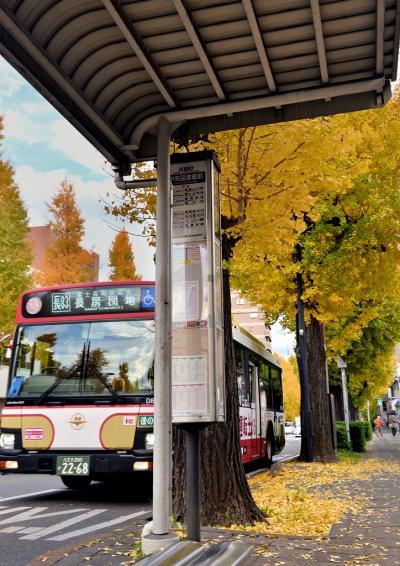 9「バス・ストップ」 ー 岡　s-DSC_7450