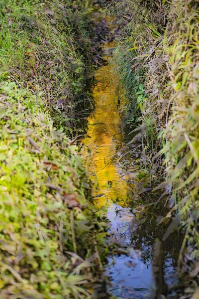 5武田－豊穣の色2