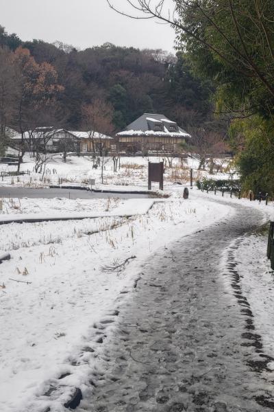 9-1田添-里山記念館の雪景色DSC_1019