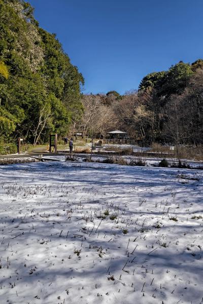 9－田添-雪晴れの谷戸山の里DSC_5570