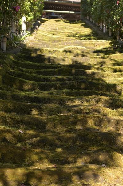 7－渋谷s-2千年の足跡