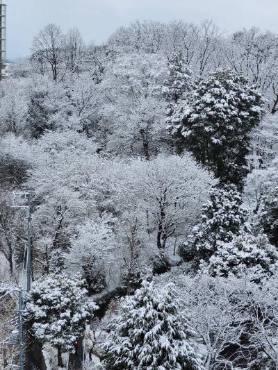 11-2佐藤-雪景色2-177225258