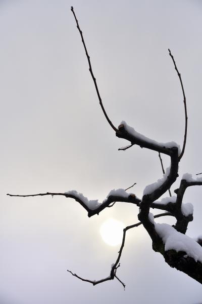 9分岐　岡　s-DSC_9632