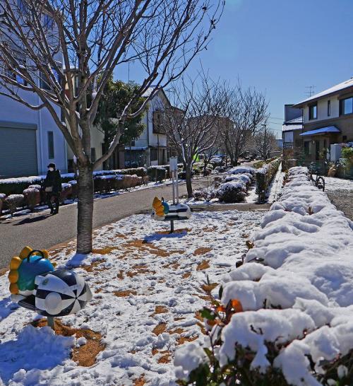 5勝田s-5P100112月・雪-1