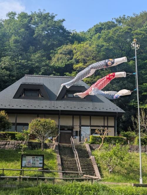 10-1谷戸山公園に初夏の訪れを告げる鯉幟L_20260420_231639257
