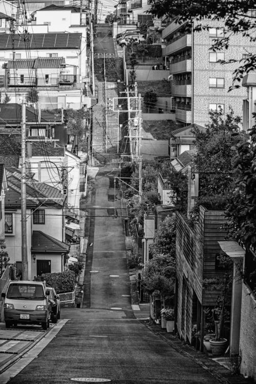 2坂本-天国に続く途_DSC3387-PNN