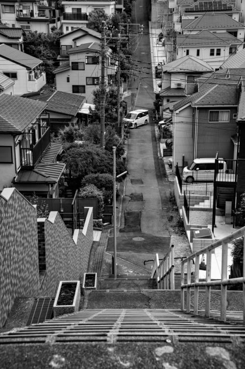 2坂本-殆んど崖_DSC3507-PN