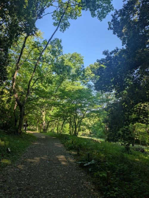 11田添s-5月下旬　風薫る５月　谷戸山公園_20260501_230203086