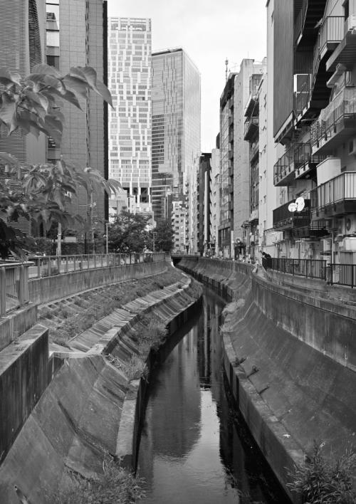 2福塚● 渋谷川
