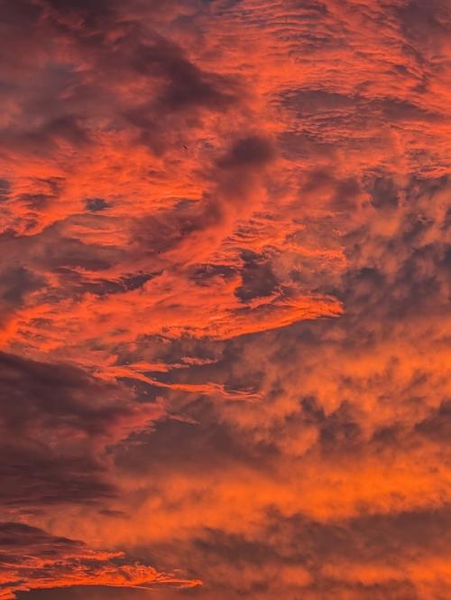 10-田添-長崎県　西海市の夕焼け！PXL_20250903_091624693