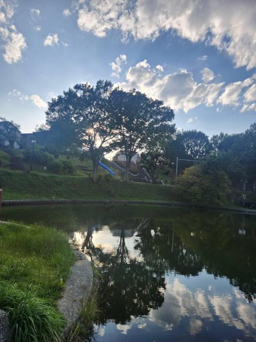 9-1佐藤-立野台公園の夕景