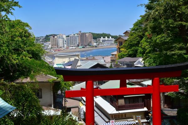 11野村―高台から海を望むs-DSC_0033