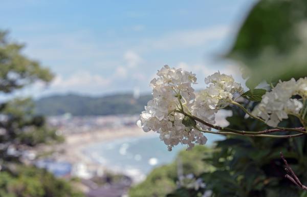 7「浜風漂う」　岡　s-DSC_0317