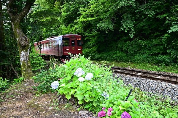 3s-1長良川鉄道