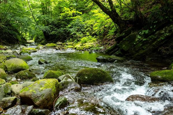 8②小澤ー龍神の滝（檜原村）2