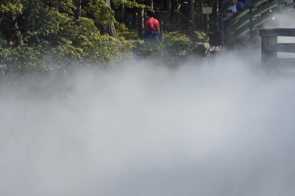 薬師池の雲海