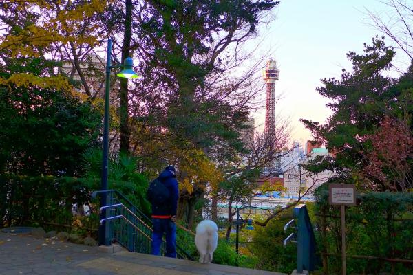 7勝田s-港の見える丘公園より2