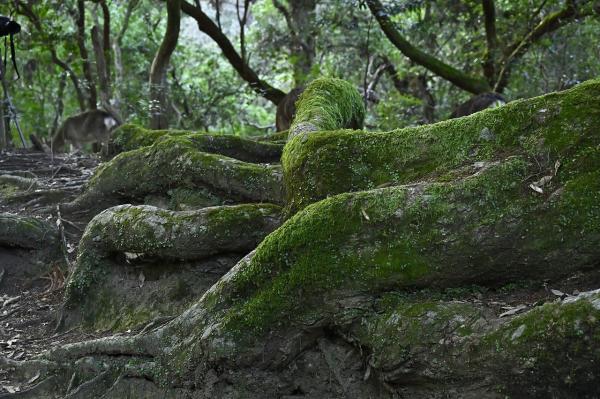 7s-_DSC6455 - 2→撮影者→池上→タイトル→何処まで続く