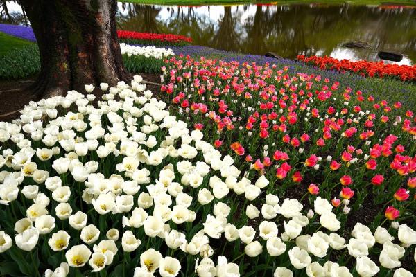 12-野口-配色の芸術