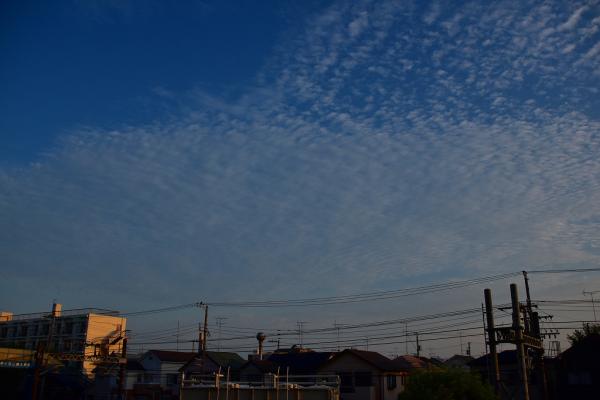 4野村－早朝の夏空s-DSC_0049