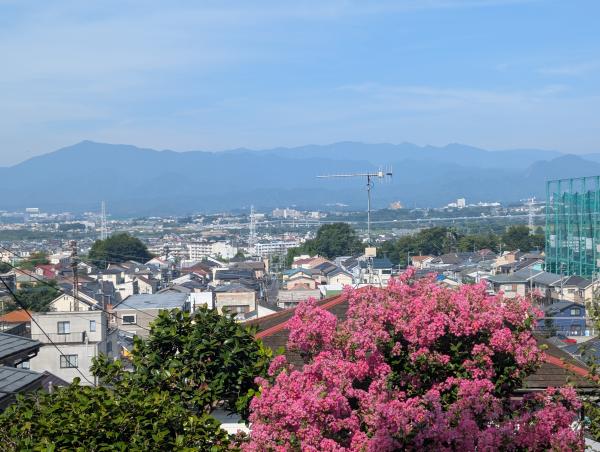 4-1-田添-サルスベリと丹沢_233514745