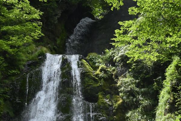 11s-_DSC1996-1→撮影者→池上→タイトル→涼を求めて