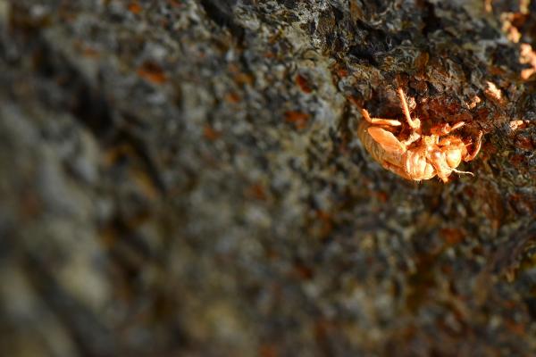 2-1野村－旅立ちs-DSC_0152