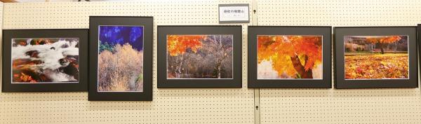 勝田s-IMG_0491-1