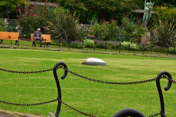 1野村－芝生を、駆ける芝刈りロボットs-DSC_0055