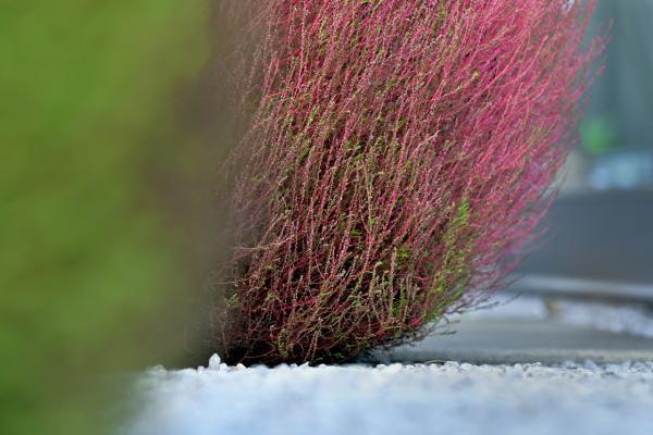 7②「丸々と」　岡　s-DSC_6762