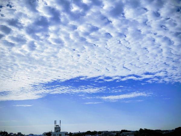 8-1佐藤-ひつじ雲