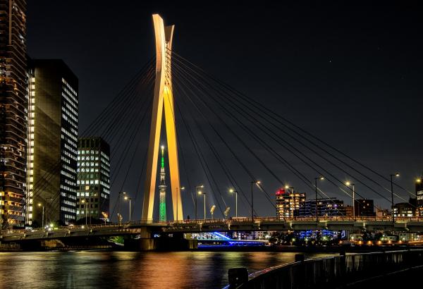 2-1坂本－浪漫散歩