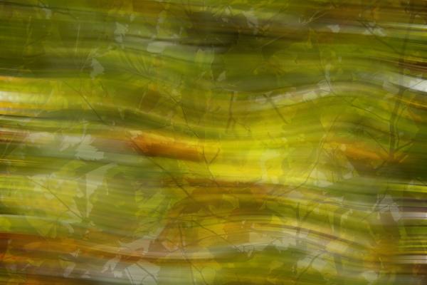 2坂本－風と共存