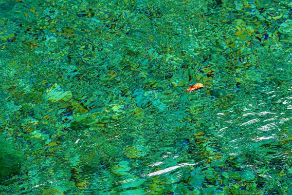 5①小澤ー阿寺渓谷３