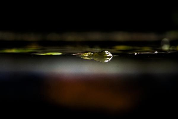 8武田－宝戒寺秋の風情