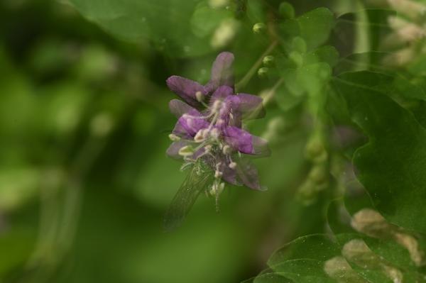 10-渋谷-s-2チャレンジ