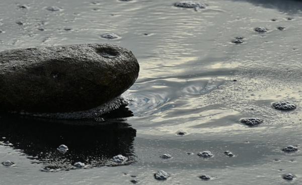 11s-DSC_8993_1→撮影者→池上→タイトル→名残_