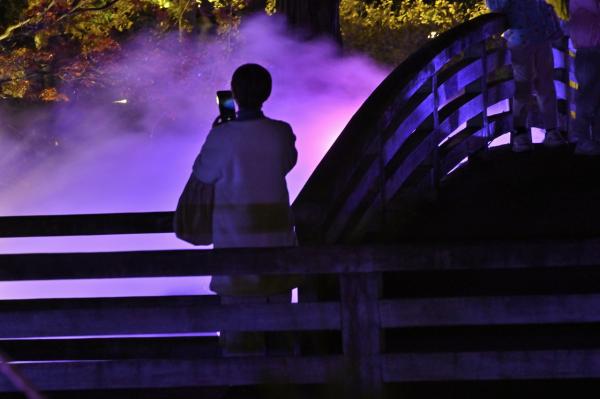 5s-_DSC4421_2→撮影者→池上→タイトル→私も撮ってます