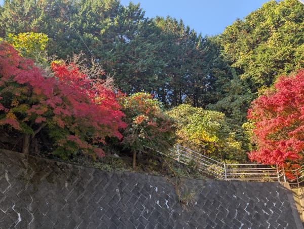 8-田添七沢温泉郷の紅葉　PXL_20251122_012113978