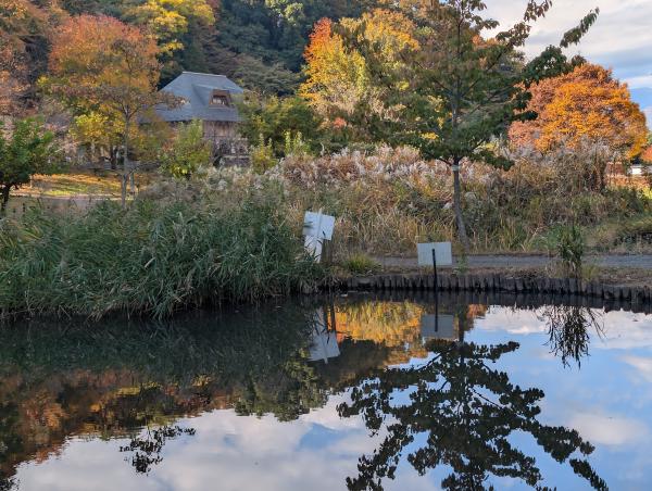 8-田添池に写る紅葉　_20251119_001444411