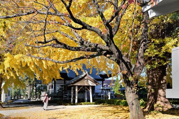 9「秋の挨拶」 - 岡　s-DSC_7856