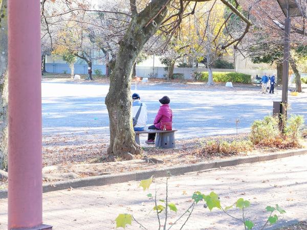 1野村－小春日和を楽しむs-P1012790