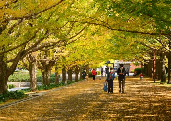 2福塚★ モミジ-A