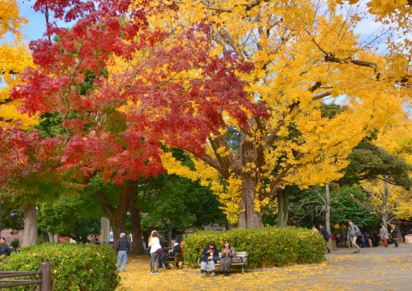 2福塚★ モミジ-B