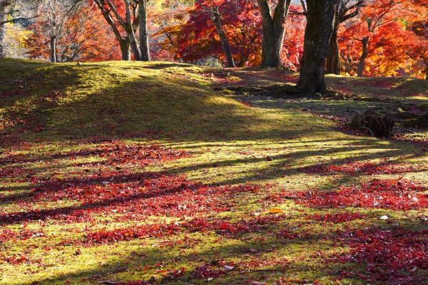 3－野口秋の終焉